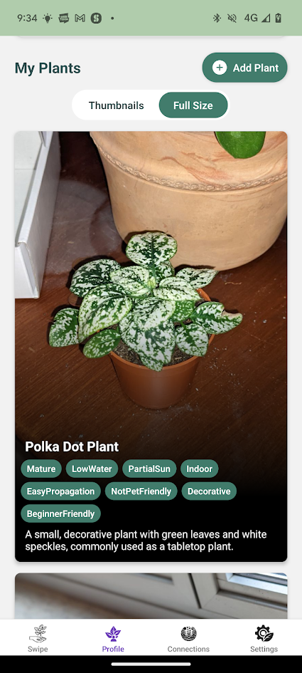Plant Gallery 2